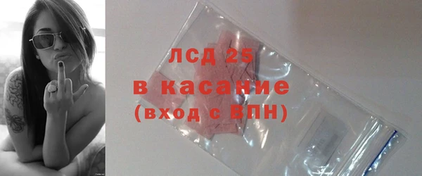 прущие грибы Баксан