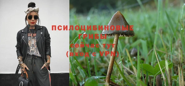 COCAINE Арсеньев