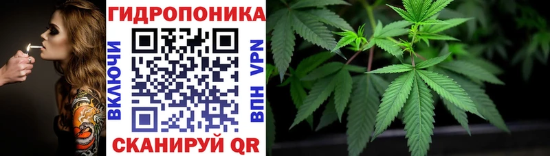 Конопля AK-47  Купить закладки  Устюжна 